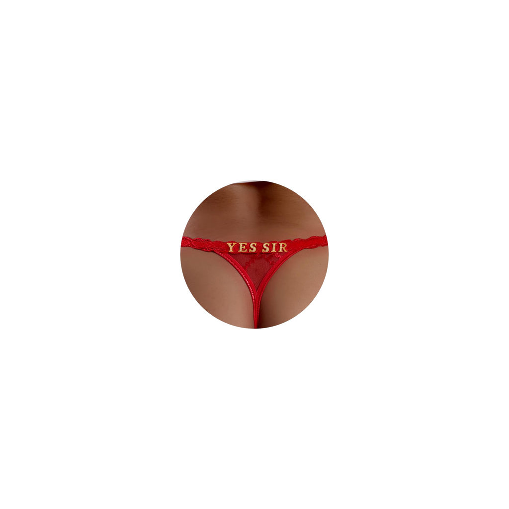 Sexy Underwear for Women Lace Panties Sexy Thong with Funny Rhinestone Letters for Couple Gifts